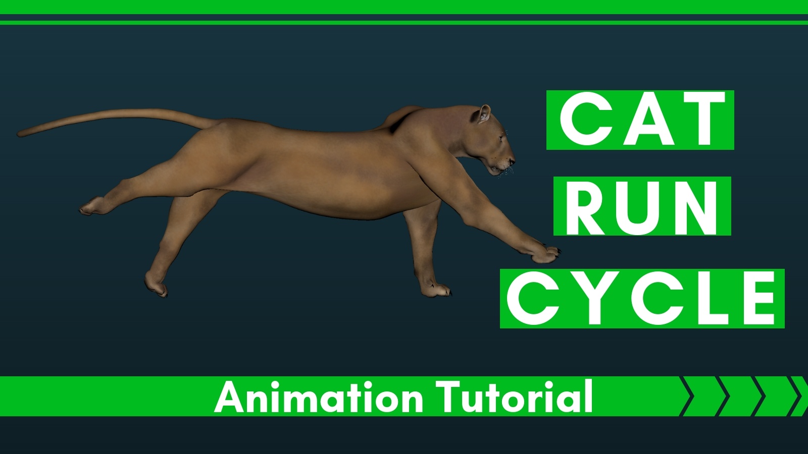 Cat-Run-Cycle-Animation-Tutorial