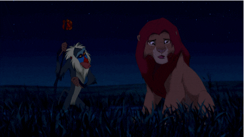 Rafiki_Bash